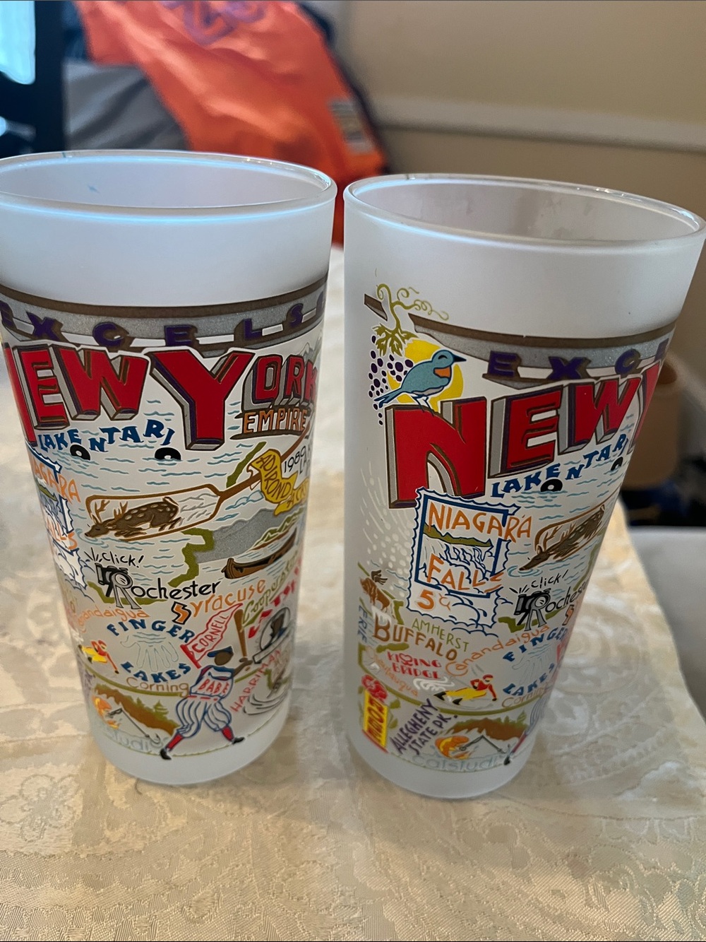 Catstudio New York Landmark Frosted Glass 2 Tumbler NYS with Multicolor Design